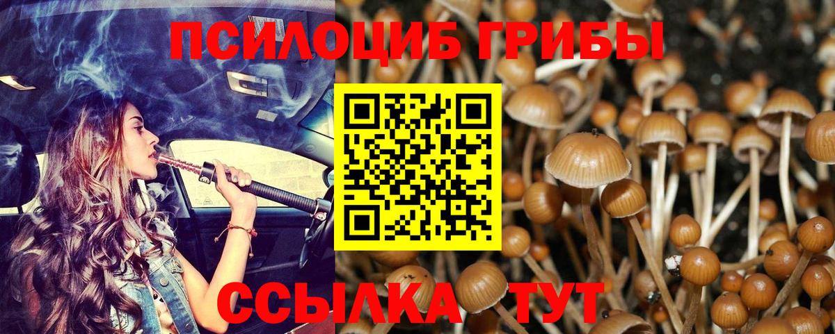 Псилоцибиновые грибы GOLDEN TEACHER  Вход с VPN  Псилоцибиновые грибы Psilocybine cubensis  Городец 